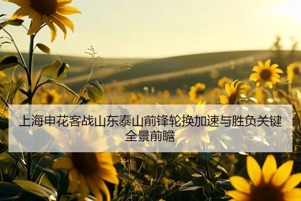 上海申花客战山东泰山前锋轮换加速与胜负关键全景前瞻
