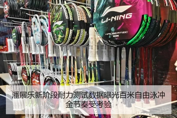 潘展乐新阶段耐力测试数据曝光百米自由泳冲金节奏受考验